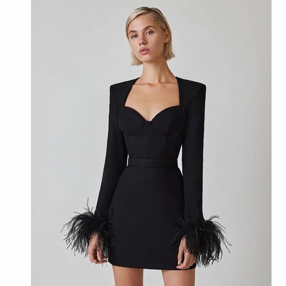 Black structured dress with feathers on the sleeves